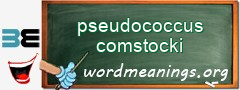 WordMeaning blackboard for pseudococcus comstocki